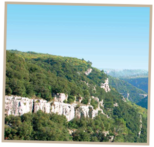 Photo des Gorges de la Siagne